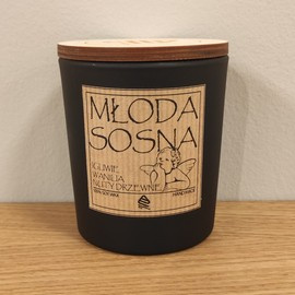Świeca zapachowa MŁODA SOSNA