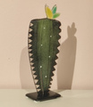 KAKTUS średni zielony