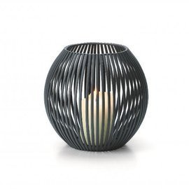 Latarenka LUISIANA S Philippi