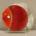 Ryba szklana Czerwona  mała