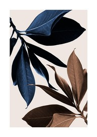 Plakat blue Magnolia 2