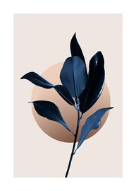 Plakat blue Magnolia 1